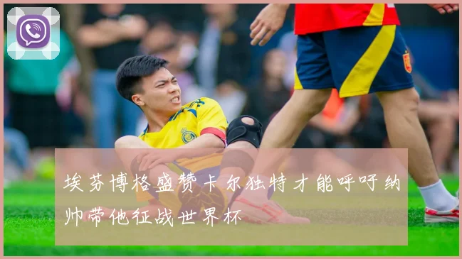 埃芬博格盛赞卡尔独特才能呼吁纳帅带他征战世界杯