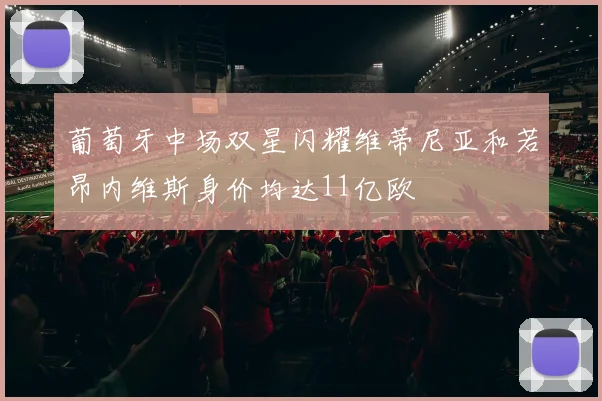 葡萄牙中场双星闪耀维蒂尼亚和若昂内维斯身价均达11亿欧