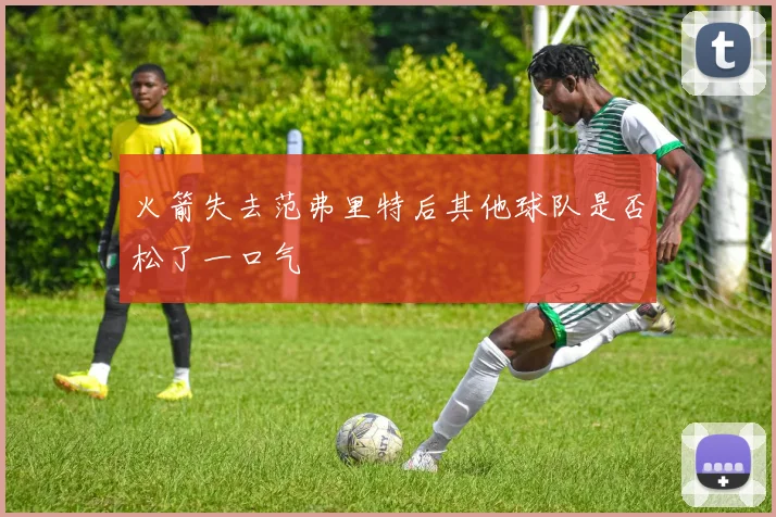火箭失去范弗里特后其他球队是否松了一口气